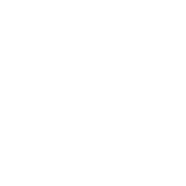 picnic